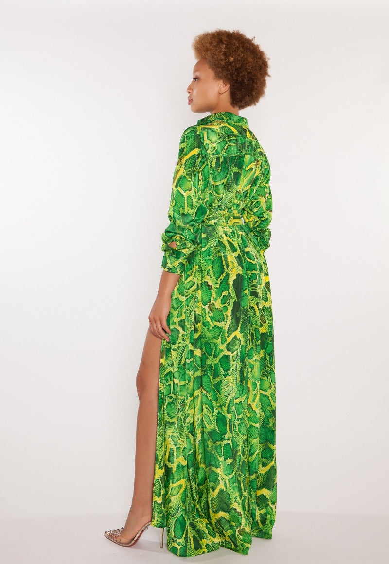 Algeria Shirt Dress